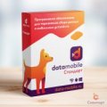 Начальная версия программы DataMobile для терминалов сбора данных и мобильных устройств